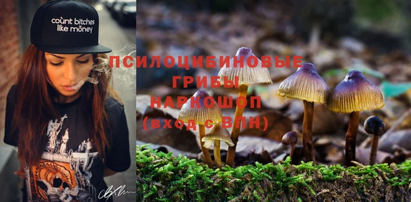 МДПВ Арсеньев
