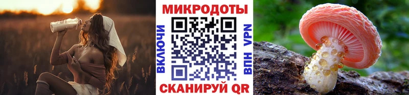 маркетплейс как зайти  даркнет сайт  blacksprut ССЫЛКА  Лесной  Галлюциногенные грибы MAGIC MUSHROOMS 